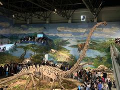 -自贡恐龙博物馆