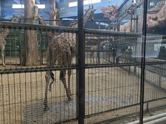 -鄂尔多斯野生动物园