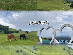 -大姆山草场