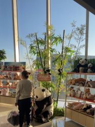 -IMON·HANSA潮玩玩偶毛绒玩具(通州万象汇店)