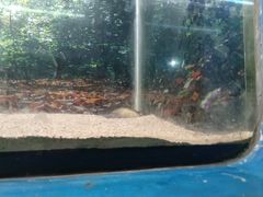 -泉州海丝野生动物世界