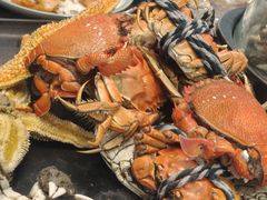 大闸蟹-乔哥铭洋海鲜自助(皇城恒隆广场店)