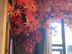 -绿草地·湘菜(喜盈门店)