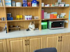 -佑安动物医院·全科·内窥镜中心(幸福巷店)