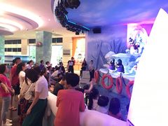 -帝企鹅自助餐厅•儿童岛•真企鹅(长隆企鹅酒店)