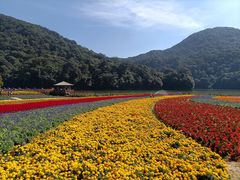 -广州市石门国家森林公园