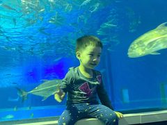 -北戴河圣蓝海洋公园