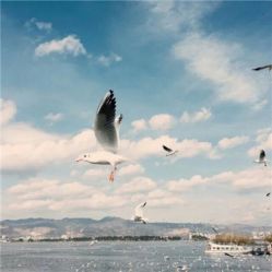 -薇兰专业脱毛连锁机构