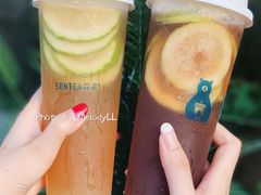 -SENTEA森茶(麦地丽日店)
