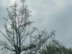 -阳澄湖费尔蒙酒店