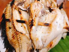 -杨合林啊兰烤鱼