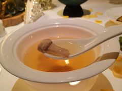 鲜松茸汤-西郊5号·Maggie 5