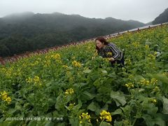 -广州市石门国家森林公园