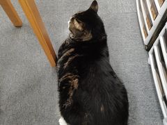 -青沐画室·专业美术培训