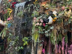 -正佳雨林生态植物园