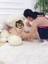 -清潭洞韩国儿童摄影(杏林店)