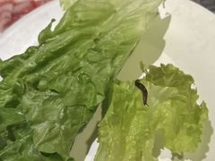 -钱小奴创意自助餐厅·原切谷饲安格斯畅吃(宁波奉化银泰店)