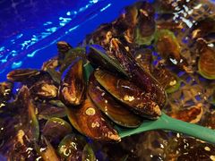 -焰江山海鲜牛排烤肉自助(锦华万达二星店)