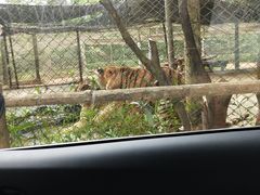 -海南热带野生动植物园