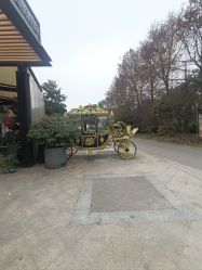 -伊莎贝拉婚礼庄园(顾村店)