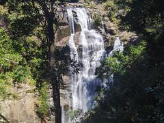 -海南热带雨林国家公园吊罗山景区
