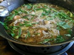 -鸭嘴鱼