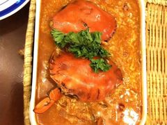 -茉莉.Red Crab