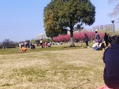 -长广溪湿地公园