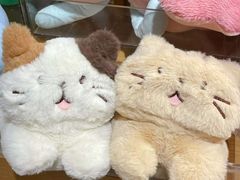 -九木杂物社(东方宝泰店)