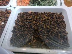 -虢国羊肉汤馆(政二街店)
