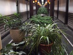 -唔呶喔哩酒家(生产街店)