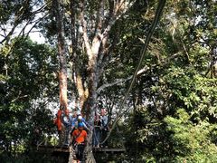 -清迈丛林飞跃 JungleFlight