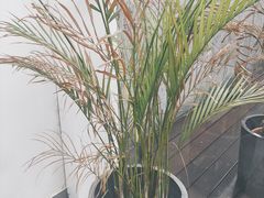 -UNI UNI(环亚凯瑟琳店)