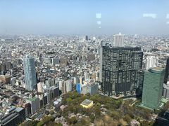 -东京都厅舍