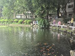 -荔湾湖公园