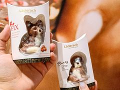 -Laderach 莱德拉(上海环贸iapm店)