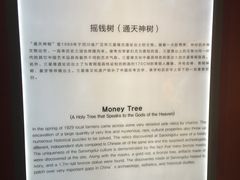 -成都泰迪熊博物馆