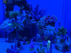 -上海海昌海洋公园