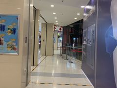 -沈阳百联购物中心(青年大街店)