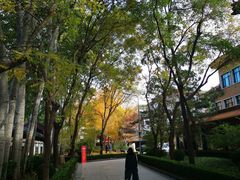 -新川办餐厅