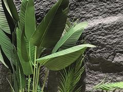 -云海肴云南菜·蒸汽石锅鱼(青岛万象城店)