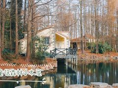 -上海共青森林公园