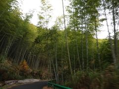 -塔川景区