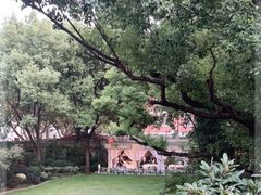 -马勒别墅·中餐厅