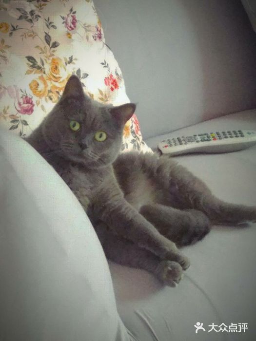 纳吉亚猫专科动物医院博雅分院图片