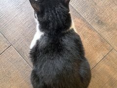 -路易时光(蕴川路店)