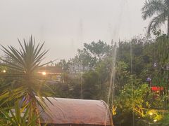 -花溪雨·森林餐厅(石基店)