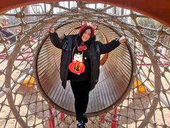 -合肥滨湖国家森林公园