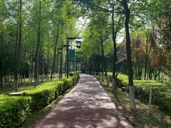 -西安汉城湖景区