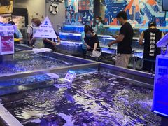 -盒马鲜生(大成店)